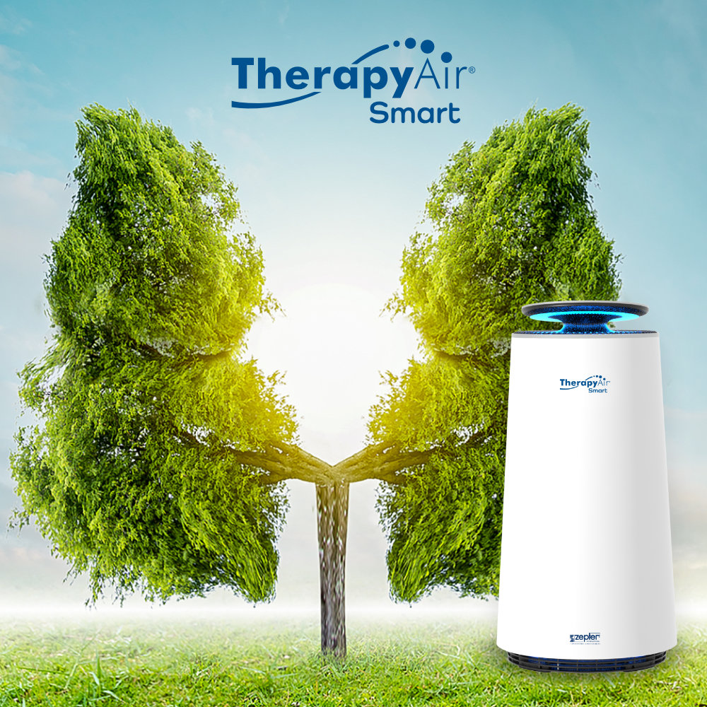 Therapy Air Smart